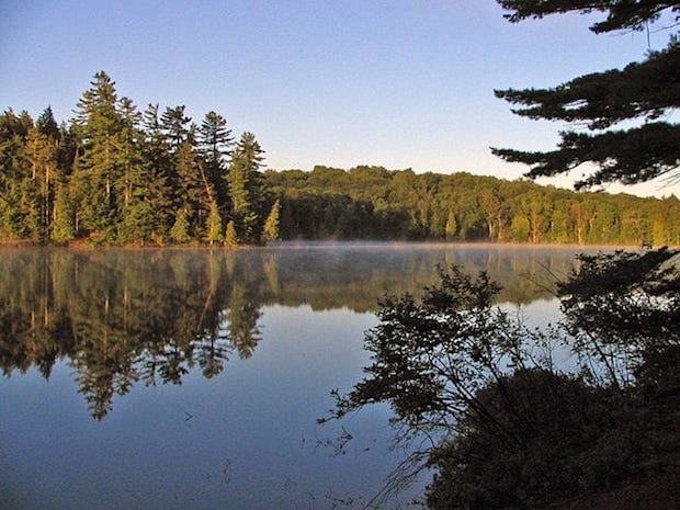 Adirondack park
Image courtesy of Mwanner via Wikimedia Commons
