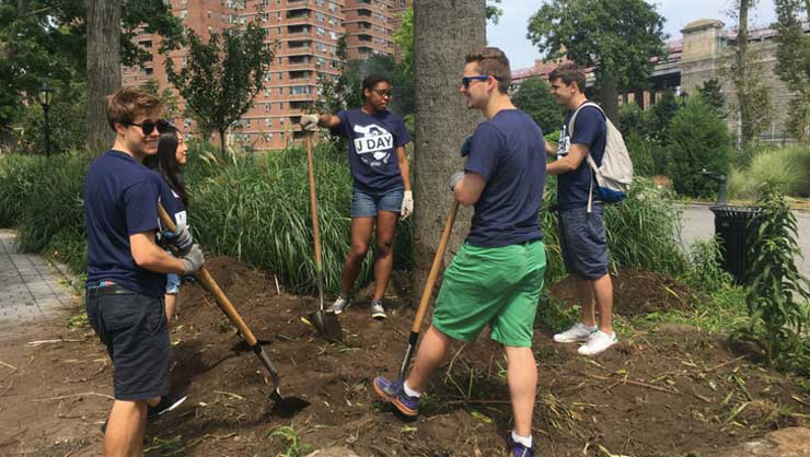 J Day participants helped make Manhattan a little greener!