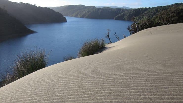 Colún Lagoon in the Valdivian Coastal Reserve Image courtesy of Wikipedia Commons