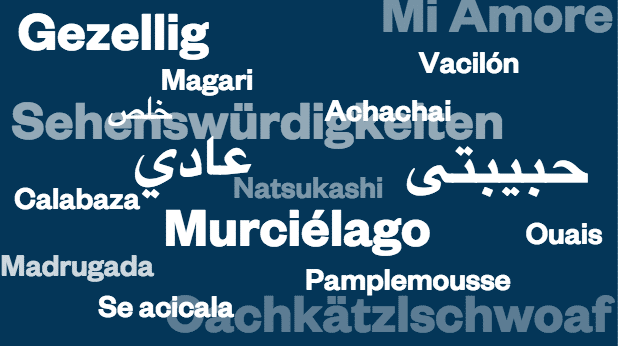 favorite words around world