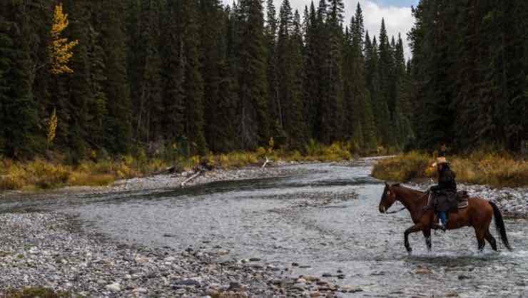 Jess K. Horse Riding in Banff Canada