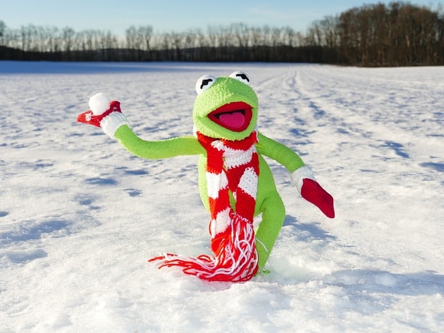 Kermit the Frog playing in the snow