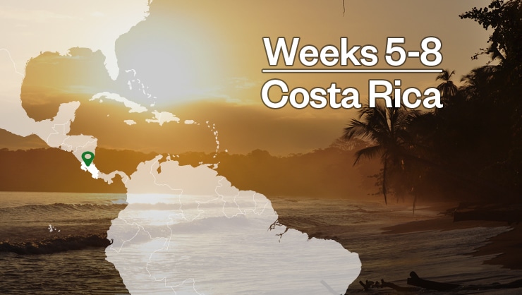 Continue at the beach in Costa Rica.