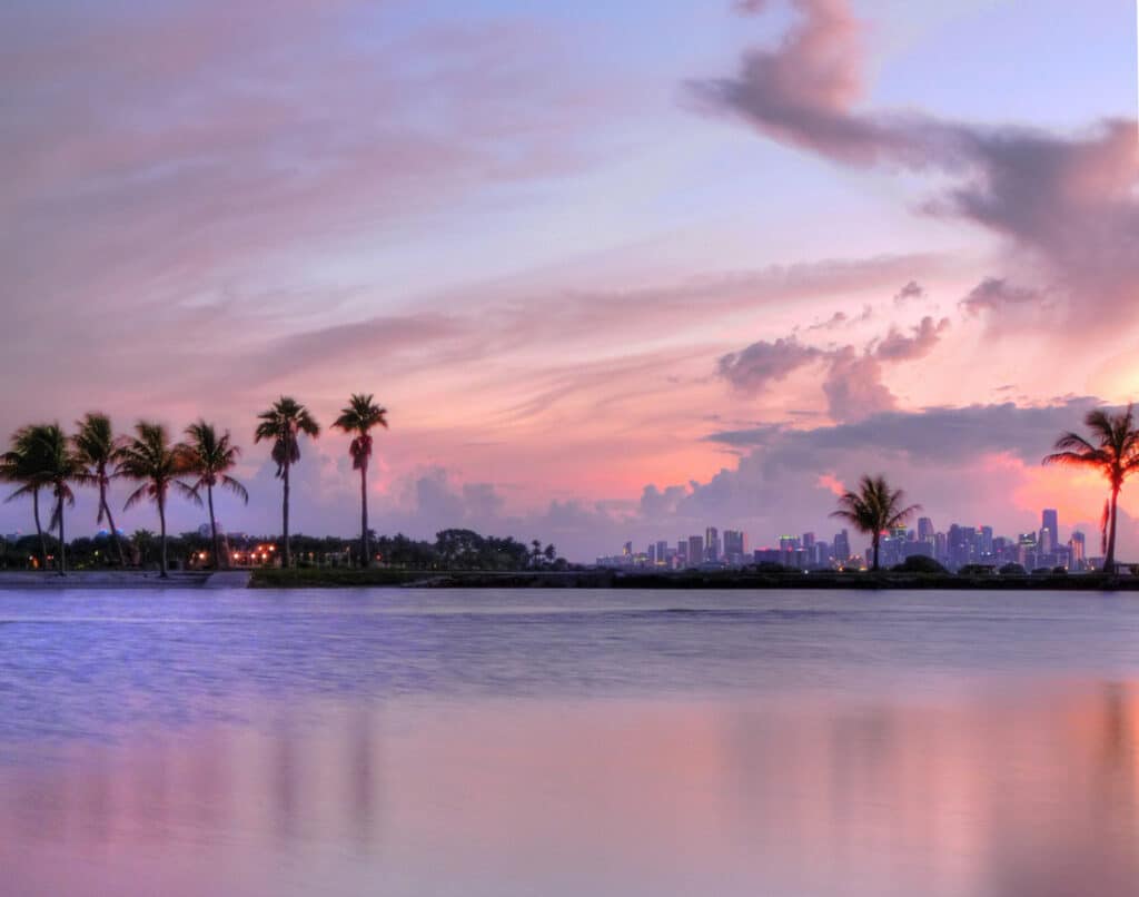 Palm trees at sunset with downtown Miami skyline in the background.