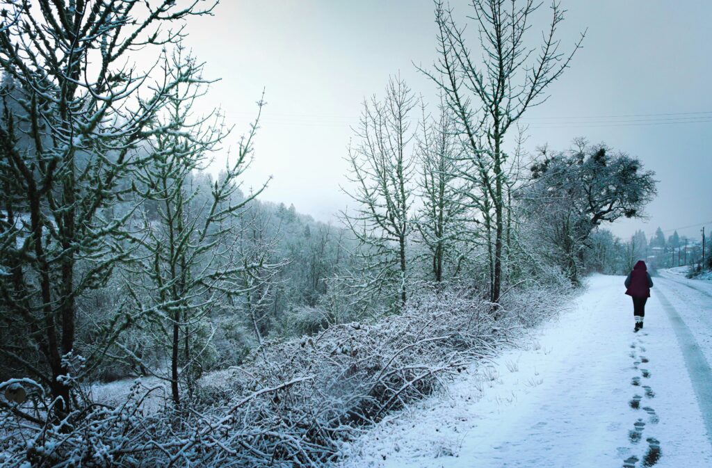 Person walking down a snow covered road.