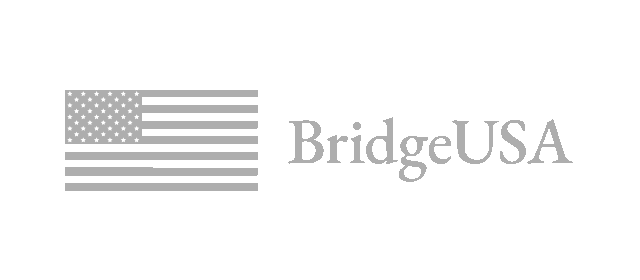 Bridge USA Logo
